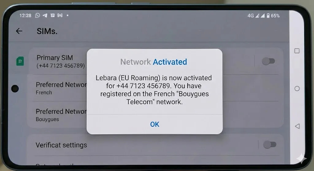A screenshot of a smartphone screen, matching the clean Android UI style. A prominent carrier pop-up box titled 'Network Activated' confirms successful EU roaming on the French 'Bouygues Telecom' network.
